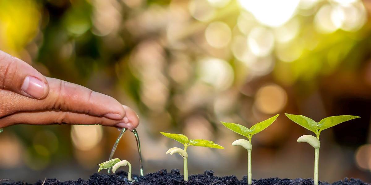 Diseño sin título (4)